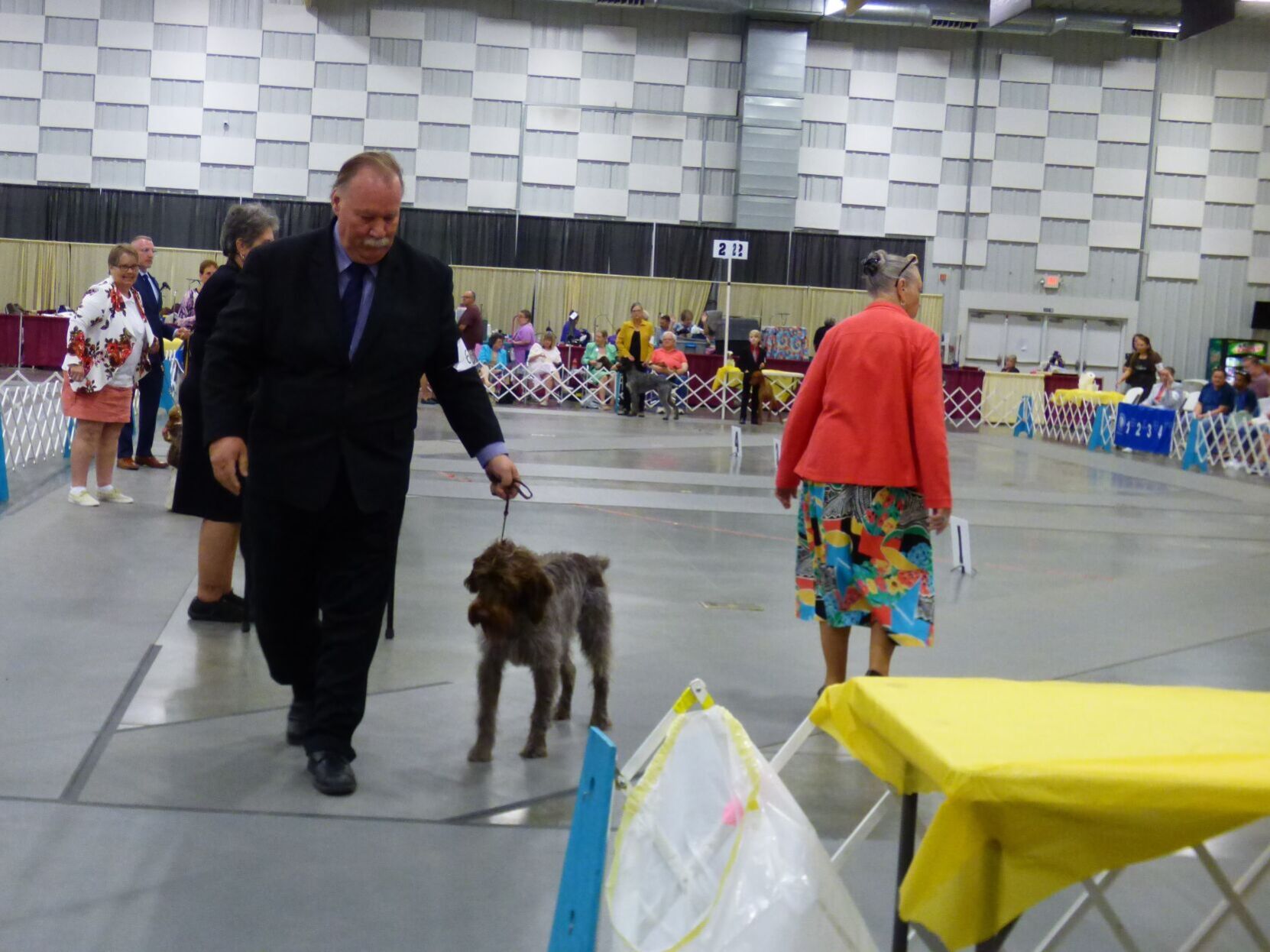 080922-nws-dog-show-tom.jpg